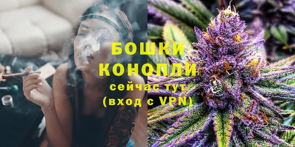 дмт Медногорск