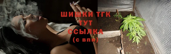 спиды Михайловка