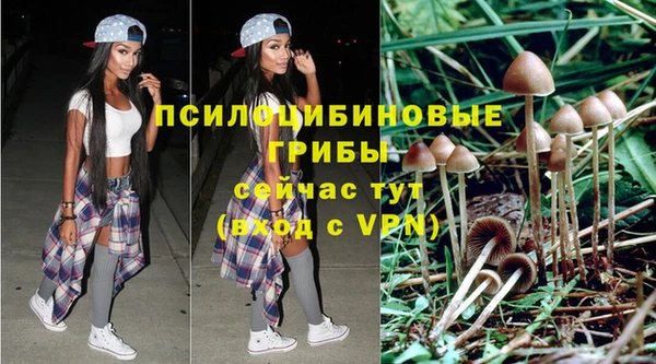 хмурый Михайлов