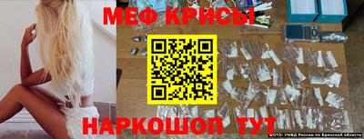 кокаин Кингисепп