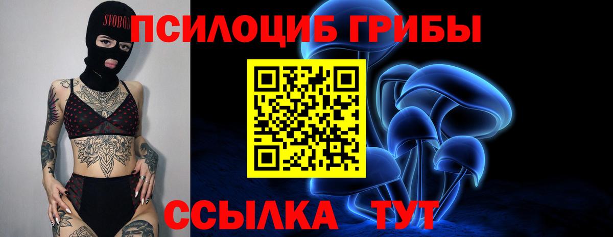 Галлюциногенные грибы Psilocybine cubensis Лиски